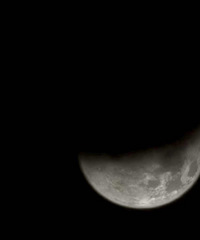 ������ʳ���