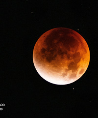 ������ҹ�ĵĺ�Ѫ��