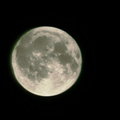 û�нżܣ�ȫ�ֿأ�