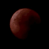 ������ʳ���