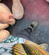 ��������