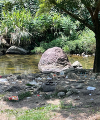 ������Ұ������