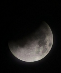 �ĸ�����