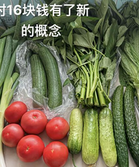 16������Щ��