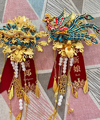 �ػ�̫�ع���