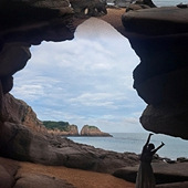 ϼ��������