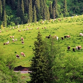 ����������Ϣ�ĵط�