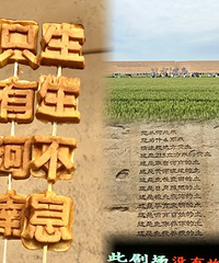 ֻ�к���һ���ο�