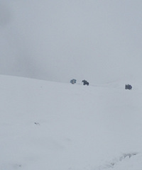 �����߹���·���������ǲ���Ϊ��·��������