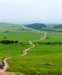 �羰������������ϲ�ԭ