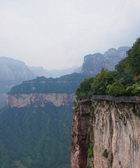 ���ɽ�ǣ�������Ĵ����뾪��