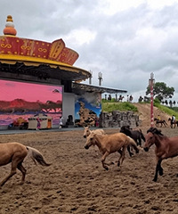 ��׷�ΰ��ϲ�ԭ��ʵ����������