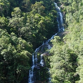 �����ź���İ���