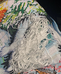 ������ʲô֧�������������ƣ�͵�