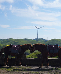 [�μ�]����˵���ǡ�С���ױ������������ı���ʵ�ڶ���