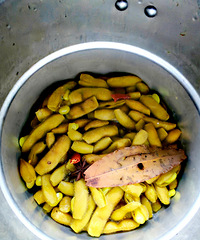 �������ʲô���ϰ��ֵ�ë��