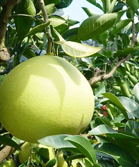 �����ĵ��������У�