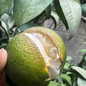 �Եĵ�һ������