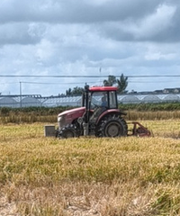 �ȫ������