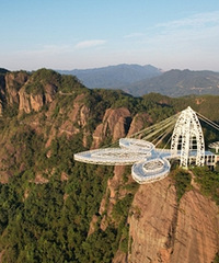 ��Ҷ�����͵�����ƽ̨�ڸ߿��ӽ��¸����鶯