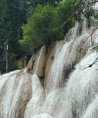 Ĳ�ṵ����