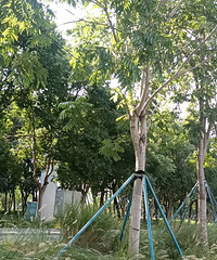 [������]91�����Ů�������Ը�Ƣ���õ�����