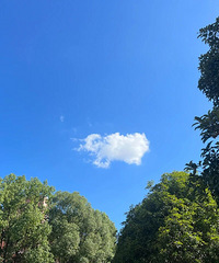 �������ɢ��̨������Ҫ������