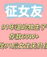 91�����������