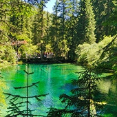 Ĳ�ṵ����