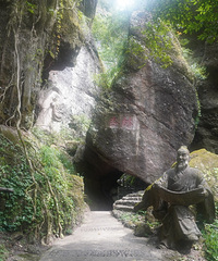 [�μ�]��α�Ӧ�������������ձ��ȫ�����ĵġ�άȨ֮�á�