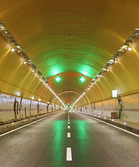 ������ɣ���������Ͷ��