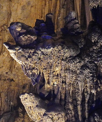 ˴��������ϼ���мǣ��ù�Ѱ���ϡ�̽��������