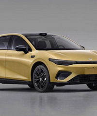 12���³��걨ͼ�ع�