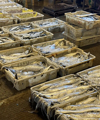 ����һ�硱���ʵ������еļ۸���ն�������鰮�Ե����ٵȵȡ���