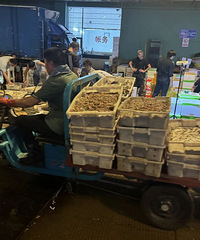 ����һ�硱���ʵ������еļ۸���ն�������鰮�Ե����ٵȵȡ���