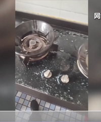 ���֡������������������������еľ����ӵ�