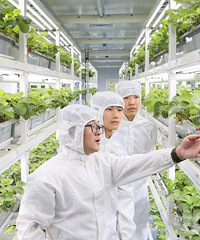 ʡ����������������̨��5��רҵȺ��ѡ