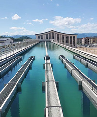 �ݼ�15��Ⱥ�ڣ�������ʽͨˮ��