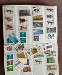 ����ɶ����Ĳ��ﰡ