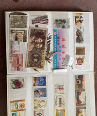 ����ɶ����Ĳ��ﰡ