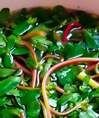 ��������ˣ�̨��һŮ������ֱ�ӡ��չ���