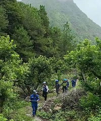 ̨��45�����ӵ�ɽʧ�����գ����½�չ