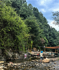 ����Ϫ������