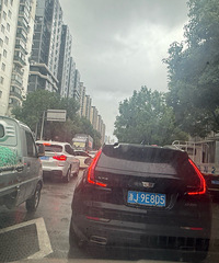 һ�´����Ҷ����Ὺ�������Ƕ��ٵ�����