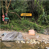 ����Ϫ������