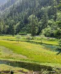 ��կ������·���е㳤�����ǽ����������˽�10��Сʱ