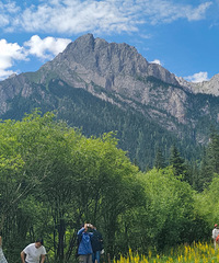 [�μ�]��կ����Ҳ̫���˰ɣ��ٲ����𺳣��ݺ�������