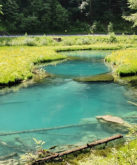 �ʻ��ݺ�̫��