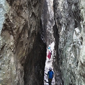 �ں���������ʰ��ҰȤ