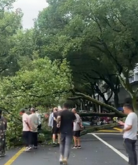 ����ô����